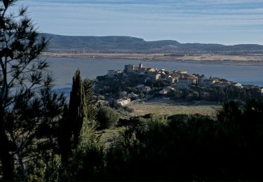 Excursión Senderismo Bages - Boucle de Bages à Peyrac-de-Mer - Photo