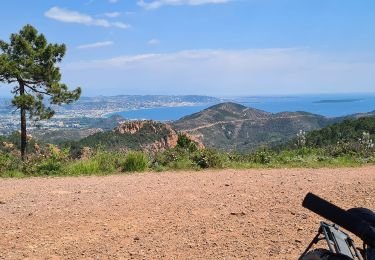 Tocht Mountainbike Mandelieu-la-Napoule - esterel - Photo