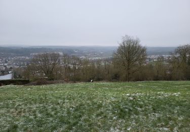 Trail Walking Durbuy - Bar Vaux sur Ourthe 140124 - Photo