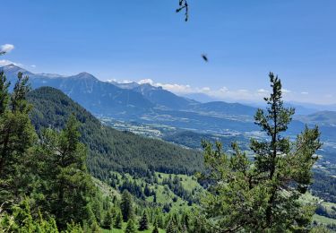 Tocht Stappen Saint-Michel-de-Chaillol - Col de l'Escalier - Photo