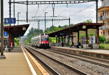 Tocht Te voet Fehraltorf - Fehraltorf - Nänikon-Greifensee - Photo