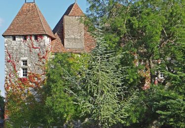 Percorso A piedi Penne-d'Agenais - Penne-d’Agenais, vers le château de Noaillac - 13,2km - Photo