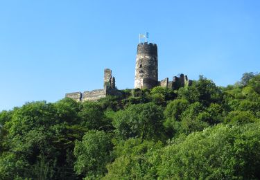 Tocht Te voet Oberdiebach - RheinBurgenWeg Rundtour - Schellengang - Photo