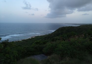 Tocht Stappen Le Moule - Anse Patate - Photo