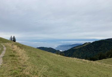 Excursión Senderismo Montreux - Le PACCOTA  - Photo