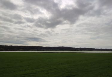 Randonnée Vélo électrique Horst aan de Maas - Het Meerdal - Maas  - Photo