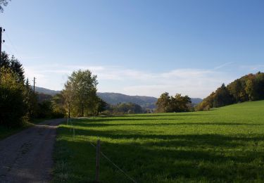Randonnée A pied Embrach - Embrach - Heerenbänkli Irchelturm - Photo