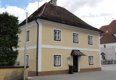 Tour Zu Fuß Bad Wimsbach-Neydharting - Via Villa Rustica - Photo