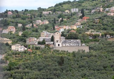 Excursión A pie Génova - Nervi - Monte Fasce - Premanico - Borgoratti - Photo