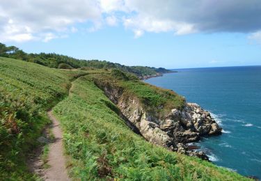 Tocht Stappen Douarnenez - Douarnenez - GR34 AR les Roches Blanches Pointe de la Jument  - 9.3km 250m 3h30 - 2019 09 01 - Photo