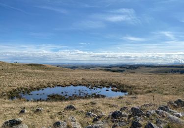 Trail Walking Saint-Urcize - Carbonade Croix de Goutal  - Photo