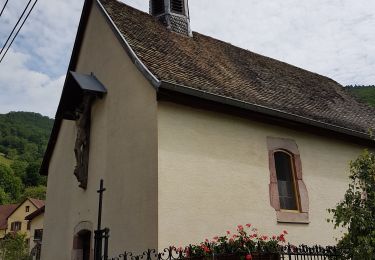 Trail Walking Linthal - Linthal - Petit Ballon - Klintzkopf - Photo