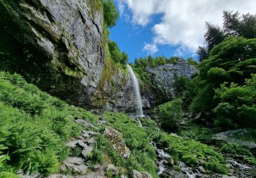 Tour Wandern Mont-Dore - 2021-07-05 la grande cascade Mont Dore - Photo