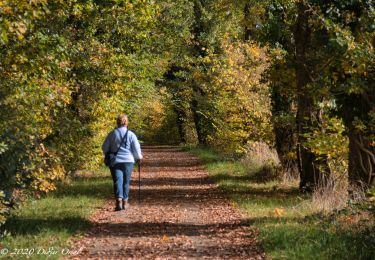 Trail Walking Perche en Nocé - Nocé-Courboyer - Rémalard 14 km - Photo