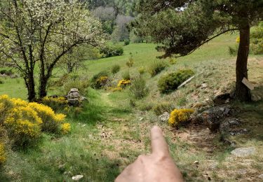 Randonnée Marche Saint-Juéry - Le Bes - Photo