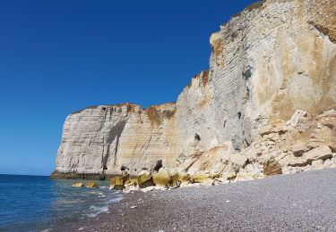 Randonnée Marche Étretat - Etretat Antifer - Photo