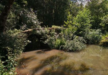 Tour Wandern Esvres - 2015 10 11 - Esvres-sur-Indre - Photo