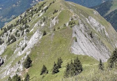 Randonnée Marche École - Pointe des Arlicots  - Photo