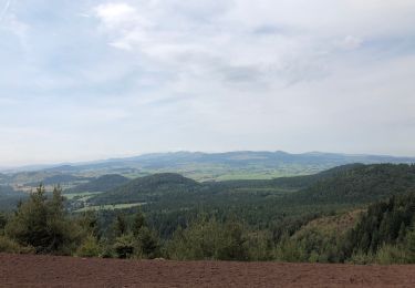 Randonnée Marche Saint-Genès-Champanelle - Laschamp Puy de Vache Montlosier  - Photo