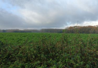 Tocht Stappen Le Rœulx - Marche ADEPS Mignault - Photo