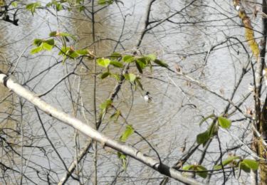 Randonnée Marche Lagraulière - Lagauliere - Photo