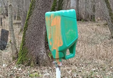 Randonnée Marche Mommenheim - La plus moche forêt d'Alsace ! - Photo