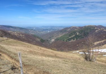 Tour Zu Fuß Fabbrica Curone - Salogni – Monte Chiappo - Photo