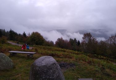 Tour Wandern Sapois - haut du tot oct rose - Photo