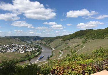 Tour Wandern Leiwen - Zummeterhof 19 km - Photo