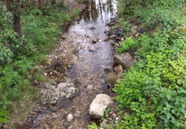 Tour Wandern Saint-Laurent-du-Pape - 07 st Laurent du pape P Gourde 060521 - Photo