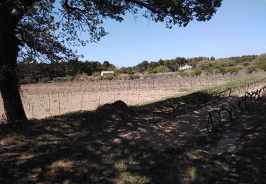 Tocht Stappen Pernes-les-Fontaines - pernes 84 - Photo