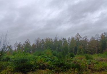 Tour Wandern Esneux - rond chêne. limon . hestreux . rond chêne  - Photo