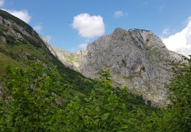 Randonnée Marche Cabrales - 2019 08 10 Poncebos Bulnes - Photo