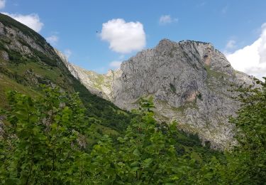 Tour Wandern Cabrales - 2019 08 10 Poncebos Bulnes - Photo