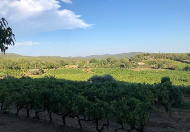 Tocht Stappen La Garde-Freinet - Être très - Photo