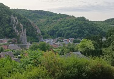 Percorso Corsa a piedi Dinant - D'Anseremme à Dinant - Photo