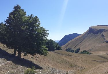 Randonnée Marche Lus-la-Croix-Haute - vallon jarjatte. lac lozon. col la croix - Photo