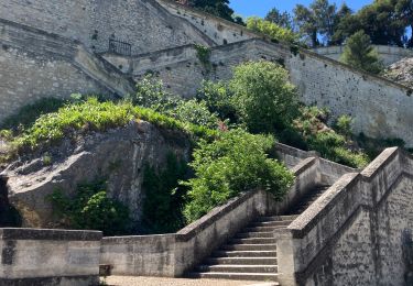 Randonnée Marche Avignon - Avignon Vieille ville - Photo