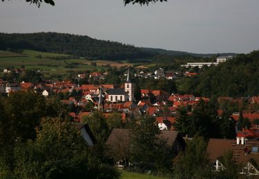 Randonnée A pied Reichelsheim (Odenwald) - Rundwanderweg Reichelsheim Teufelstein 2: Panoramaweg - Photo