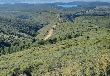 Tour Wandern Marseille - de palama à  l étoile de Daniel  - Photo