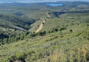 Excursión Senderismo Marsella - de palama à  l étoile de Daniel  - Photo