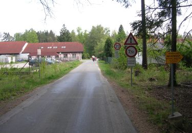 Percorso A piedi Libín - [Ž] Majdalena - Spolský rybník - Photo