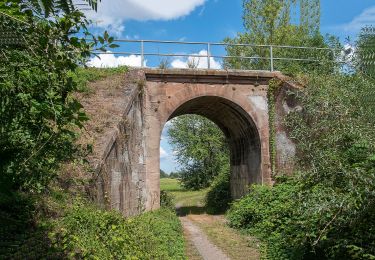 Tocht Te voet Otzberg - Rundwanderweg Nieder-Klingen 2 : Ohmbuckel-Weg - Photo