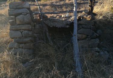 Randonnée Marche Le Sauze-du-Lac - Serre Cabame 160122 - Photo