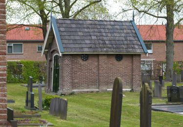 Percorso A piedi Steenwijkerland - WNW WaterReijk - Steenwijkerwold - gele route - Photo