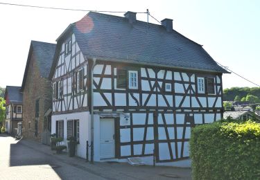 Percorso A piedi Gackenbach - Wäller Tour Buchfinkenland - Photo