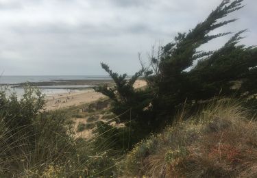 Tour Wandern Saint-Pierre-d'Oléron - Balade japonaise La Mimiche - Photo