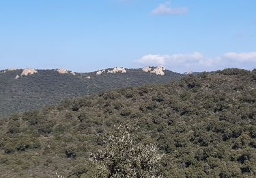 Trail Walking La Londe-les-Maures - le dolmen de Gauttabri - Photo