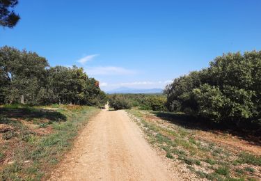 Tour Wandern Piolenc - Piolenc, Mornas  - Photo