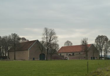 Percorso A piedi Beek - Rondje Genhout - Photo